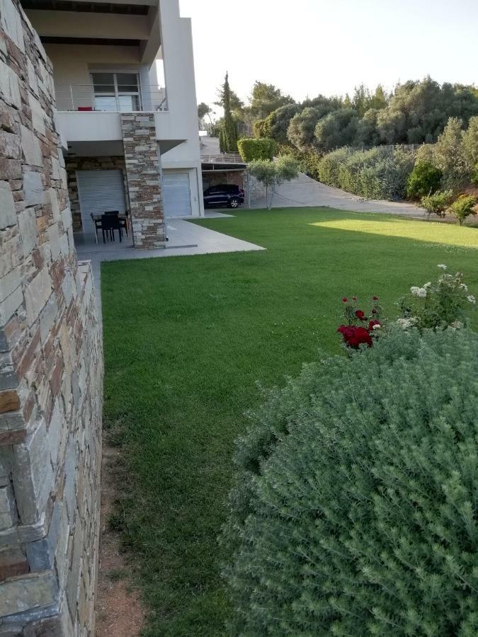 Dimitra Rafína Exterior foto