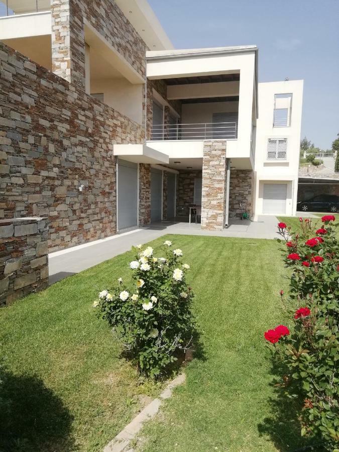 Dimitra Rafína Exterior foto
